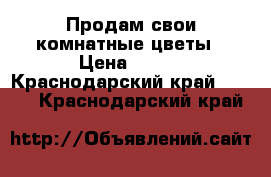 Продам свои комнатные цветы › Цена ­ 500 - Краснодарский край  »    . Краснодарский край